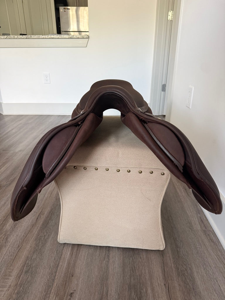 Back of the saddle
