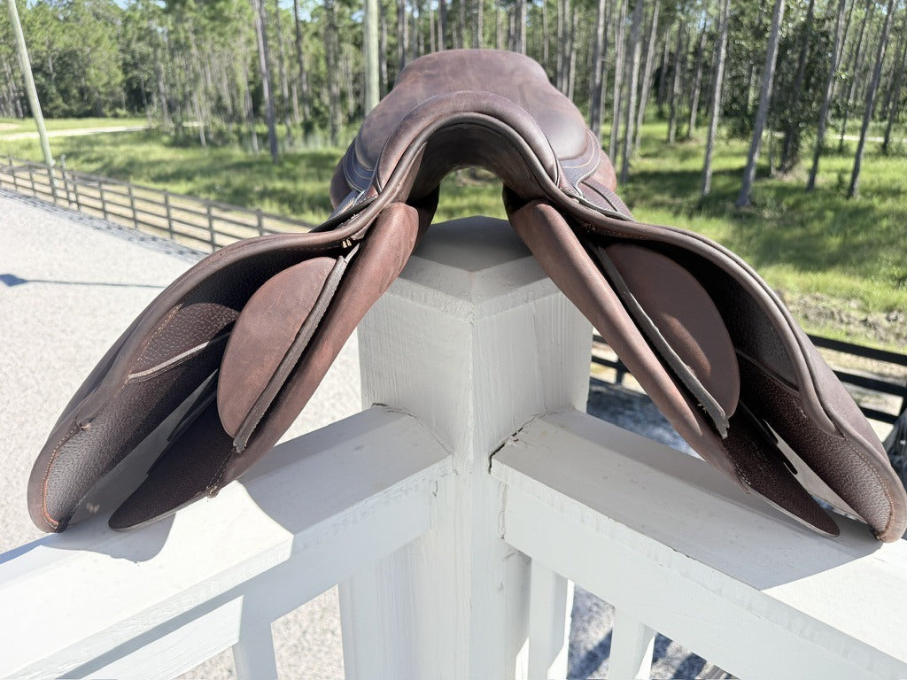 Front of the saddle, pommel and gullet