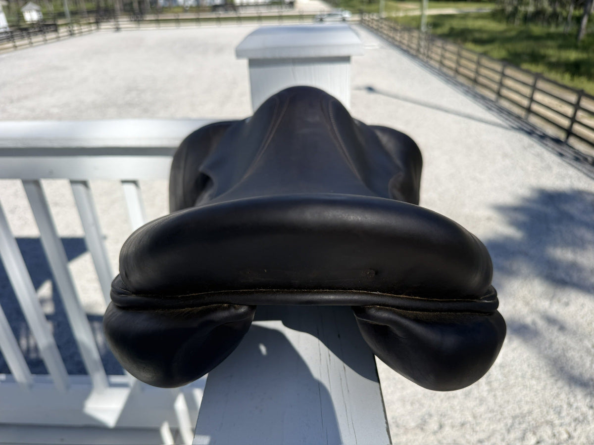 Back of the saddle